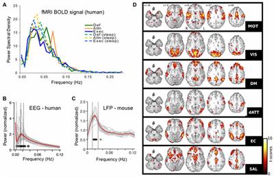 Cognitive and Physiologic Impacts of the Infraslow Oscillation